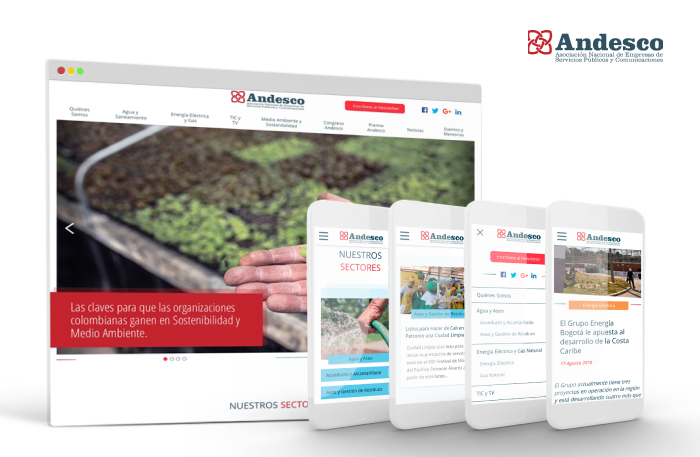 Sitio web Andesco